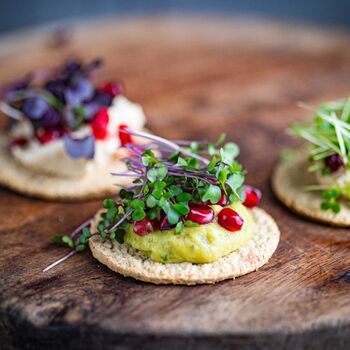 Mild Flavour Organic Microgreens | Five Seed Set, 7 of 7