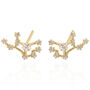 Valini Zodiac Constellation Earrings 18 K Gold Plated, thumbnail 10 of 10