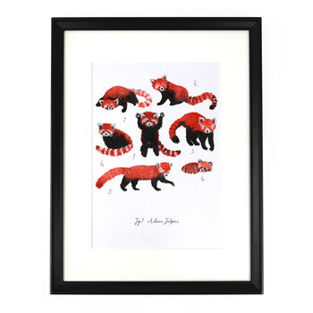 Pack Of Red Pandas A4 Art Print, 2 of 7