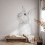 Bunny Dreams Wallpaper, thumbnail 1 of 2