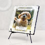 Personalised Pet Loss Dog Memorial Photo Slate, thumbnail 1 of 6