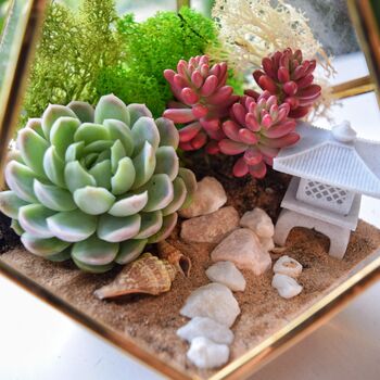 Gold Geometric Terrarium Kit With Succulent Plant Lover Gift, 10 of 12