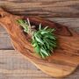 Herbs, Russian Tarragon, Full Plants In 9cm Pots, thumbnail 5 of 5