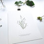 ‘Snowdrop’ Spring Flower Botanical Giclée Print, thumbnail 3 of 3