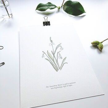 ‘Snowdrop’ Spring Flower Botanical Giclée Print, 3 of 3