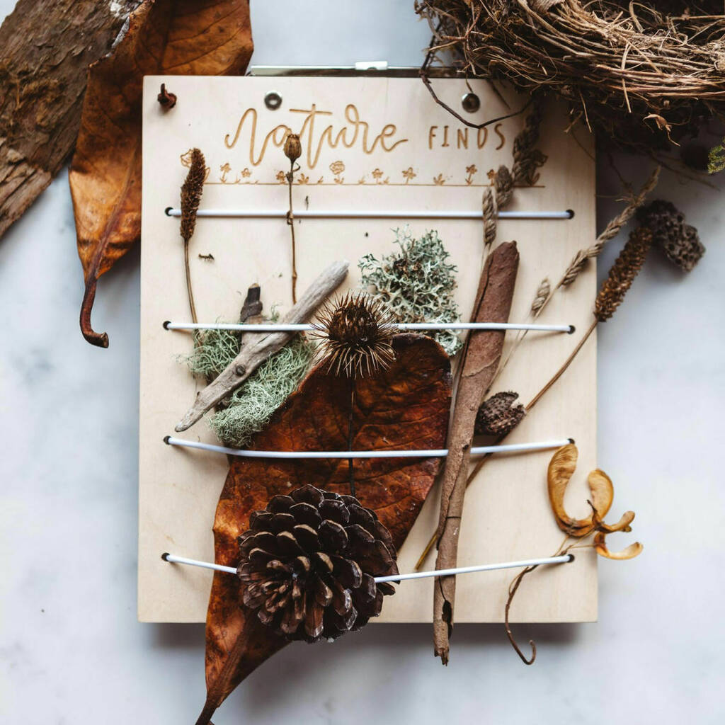 Image of Two In One Explorer Board