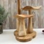 Large Hand Carved Wooden Bali Mushroom Set, thumbnail 6 of 11