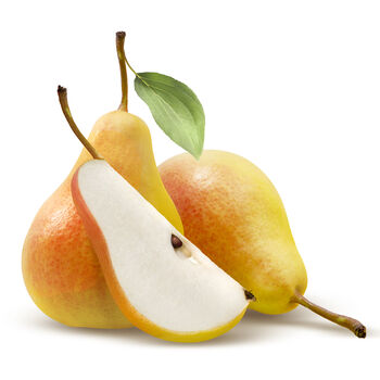 Pear Fruit Trees Three X 10 L Pots, 8 of 8