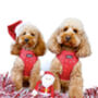 'Ho Ho Ho' Full Dog Harness Christmas Set, thumbnail 5 of 6
