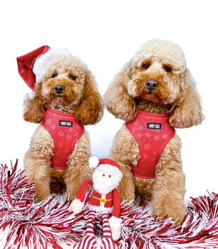 'Ho Ho Ho' Full Dog Harness Christmas Set, 5 of 6