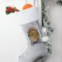 Personalised Dog Velvet Silver Grey Stocking, thumbnail 1 of 5