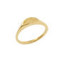 Sun Signet Ring Silver/Solid Gold, thumbnail 7 of 9