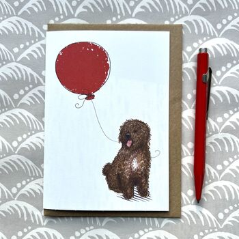 Spanish Water Dog Greetings Card, 9 of 9