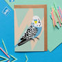 Ben The Budgie Bird Card, thumbnail 1 of 4