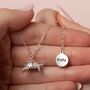 Sterling Silver Tortoise Necklace With Personalisation, thumbnail 1 of 11