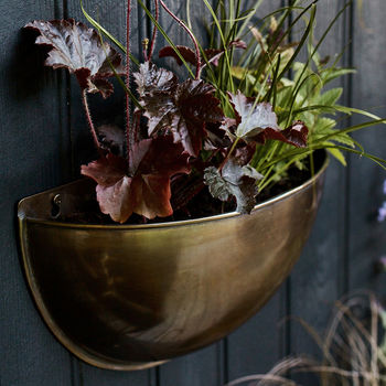 Sola Brass Wall Planter, 4 of 8