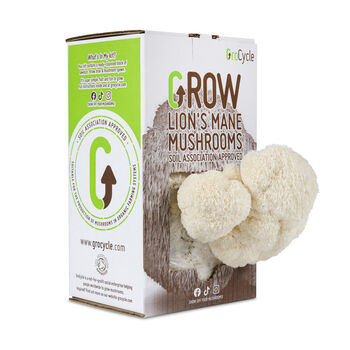 Grow Your Own Lion's Mane Mushrooms Kit, 2 of 9