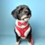 Red Heart Dog Harness Set, thumbnail 5 of 7