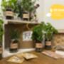 Indoor Herb Garden Planters Sets Of Up To Six Jars, thumbnail 1 of 7
