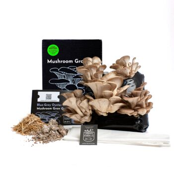 Oyster Mushroom Growing Kit, 8 of 11