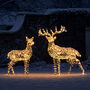 Large Harlow Rattan Reindeer Duo, thumbnail 2 of 9