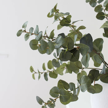 Natural Green Artificial Eucalyptus Stems, 3 of 4