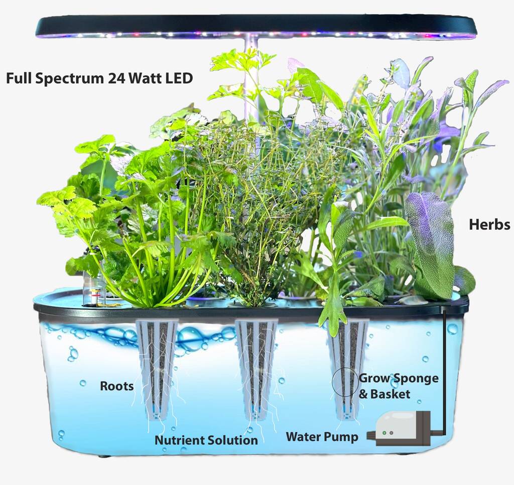 Indoor Hydroponic Kitchen Herb Garden + Pack Of Seeds By West Kent