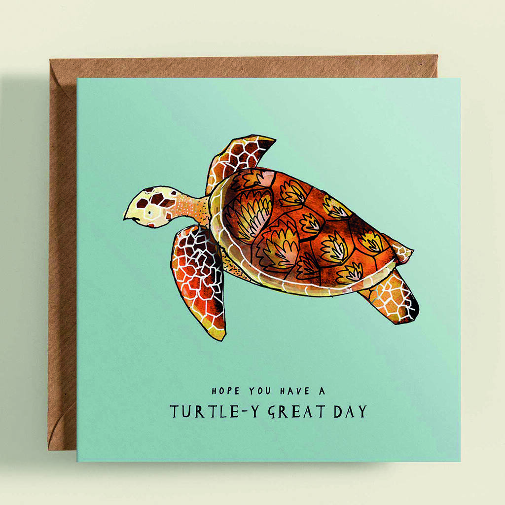 turtle-birthday-card-by-katie-cardew-notonthehighstreet