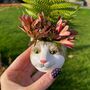 Ceramic Cat Mini Planter, thumbnail 5 of 7