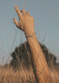 Snake Stainless Steel Bracelet, 2 of 6