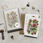 Strawberry Watercolours Note Cards And Envelopes, thumbnail 9 of 9
