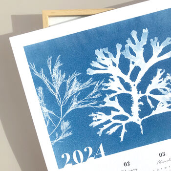 2024 Seaweed Beach Calendar Art Print, 3 of 4
