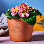 Engraved Terracotta Plant Pot, thumbnail 1 of 1