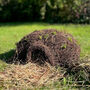 Biscuit The Hedgehog Brushwood House With Nesting Straw, thumbnail 1 of 7