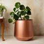 Tamra Copper Floor Planter, thumbnail 1 of 4