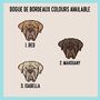 Dogue De Bordeaux Mug, thumbnail 5 of 5