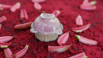 Rhubarb And Custard Dessert Candy Floss Fun Gift Allergen, 9 of 12