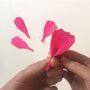Paper Flower Kit Cosmos, thumbnail 8 of 9