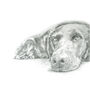 Hand Drawn Pencil Pet Portrait Drawing Or Gift Voucher, thumbnail 5 of 12