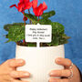 Personalised Message Plant Marker, thumbnail 3 of 6