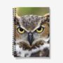 A5 Spiral Notebook Featuring A Great Horned Owl, thumbnail 1 of 2