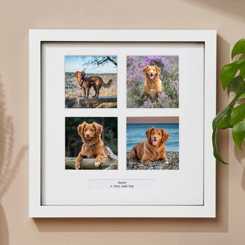 Personalised Four Windows Pet Photo Frame, 2 of 3