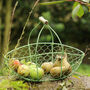 Personalised Handwoven Green Wire Kitchen Trug, thumbnail 2 of 5
