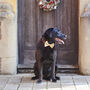Christmas Dog Treat Advent Calendar, thumbnail 8 of 12