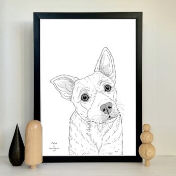 Personalised Pet Portrait Drawings, 8 of 11