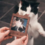 Personalised Cat Magnetic Frame, thumbnail 3 of 5