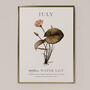 Birth Flower Wall Print 'Water Lily' For July, thumbnail 5 of 9