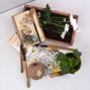 Grow Your Own Daisies Gardening Gift Set, thumbnail 1 of 5