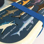 Children's Shark Design Bento Lunch Box, thumbnail 6 of 12