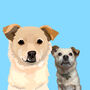 Personalised Pet Portrait Digital Illustration, thumbnail 3 of 12
